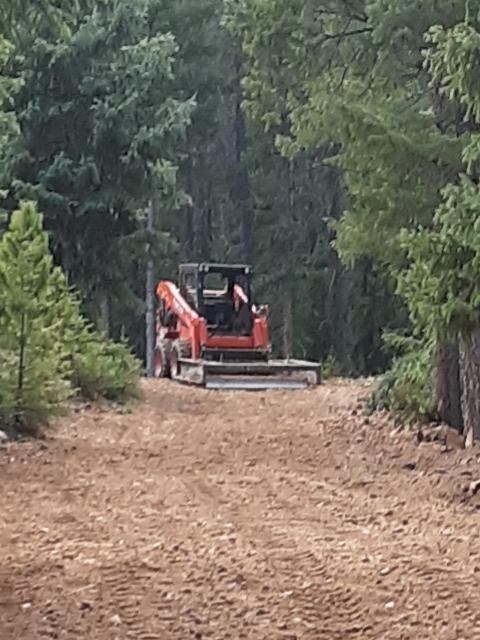 Skid steer with a grading blade on a dirt road through dense pines