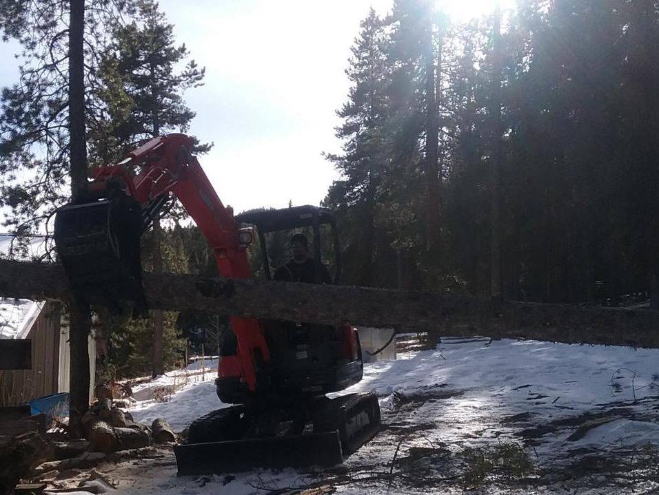 Excavator moving a log in snowy woods with the operator visible